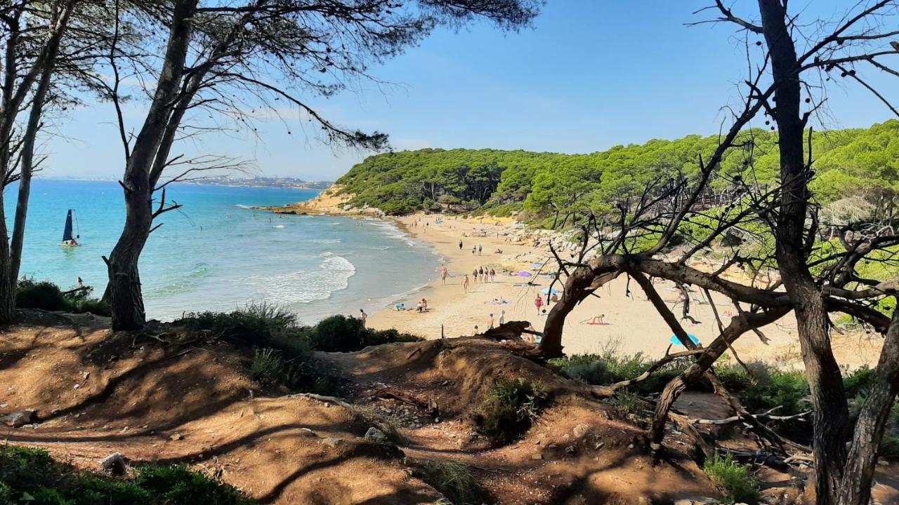 Chalet Vacacional Con Piscina Privada Y Barbacoa Ταραγόνα Εξωτερικό φωτογραφία
