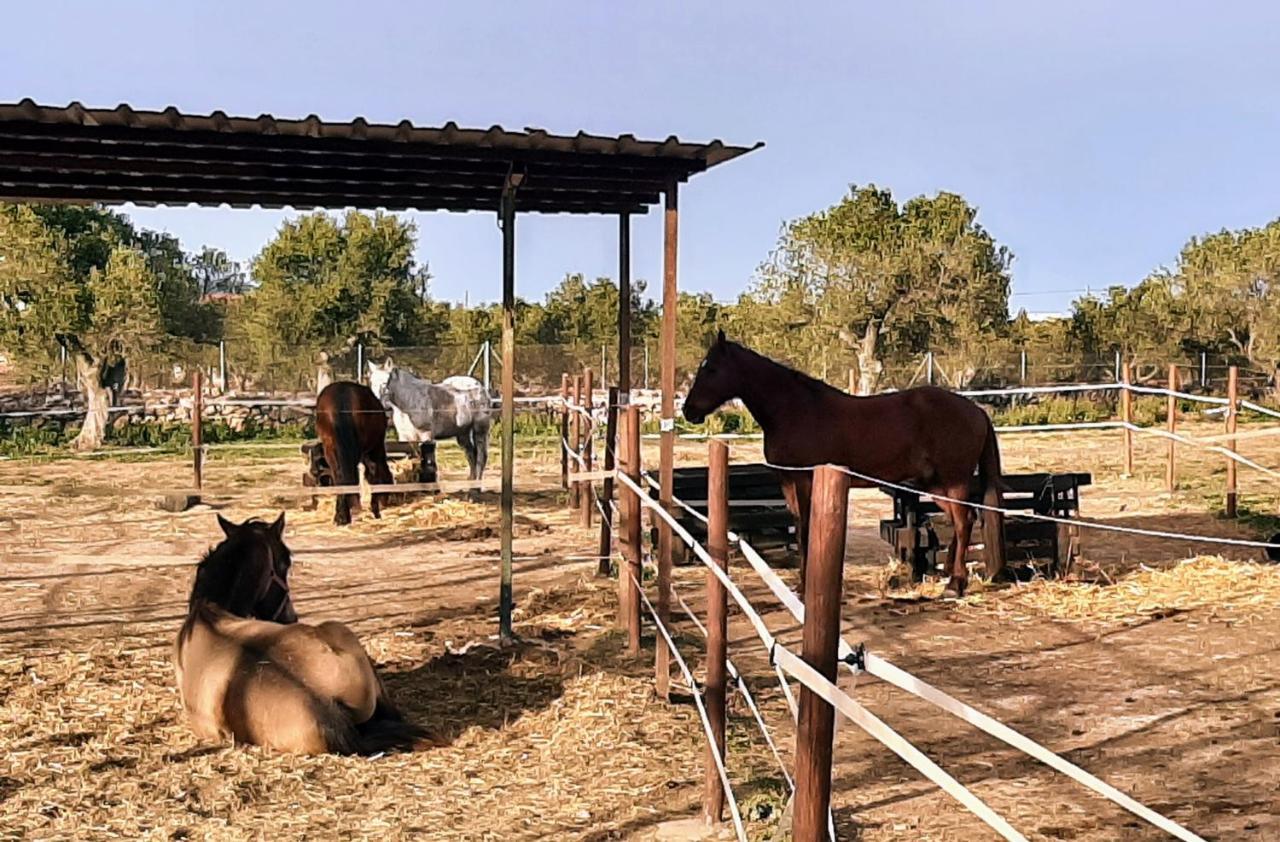 Chalet Vacacional Con Piscina Privada Y Barbacoa Ταραγόνα Εξωτερικό φωτογραφία